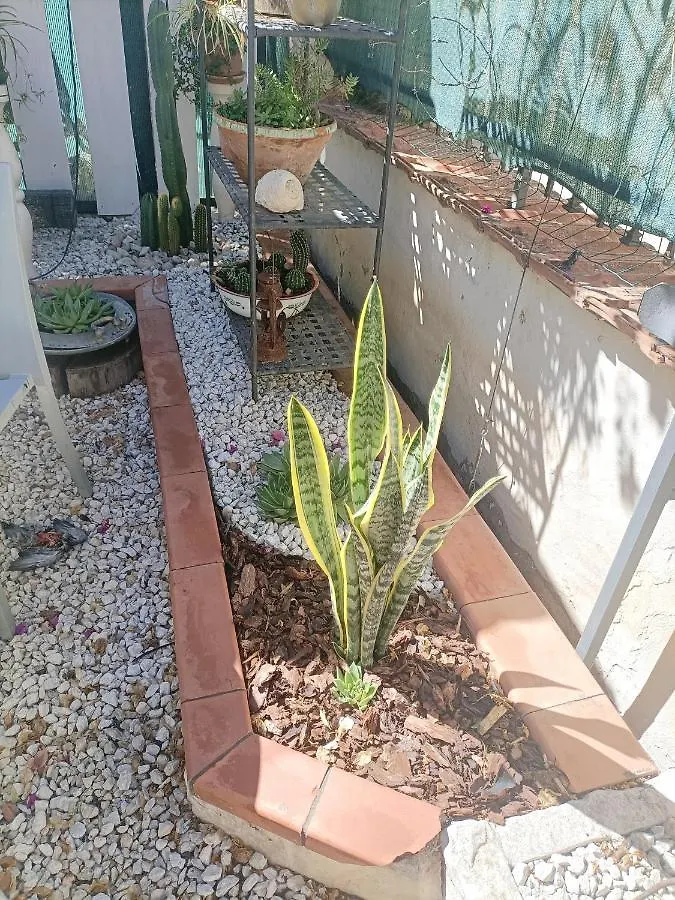 Bed and Breakfast La Casa In Pietra Santa Caterina Villarmosa